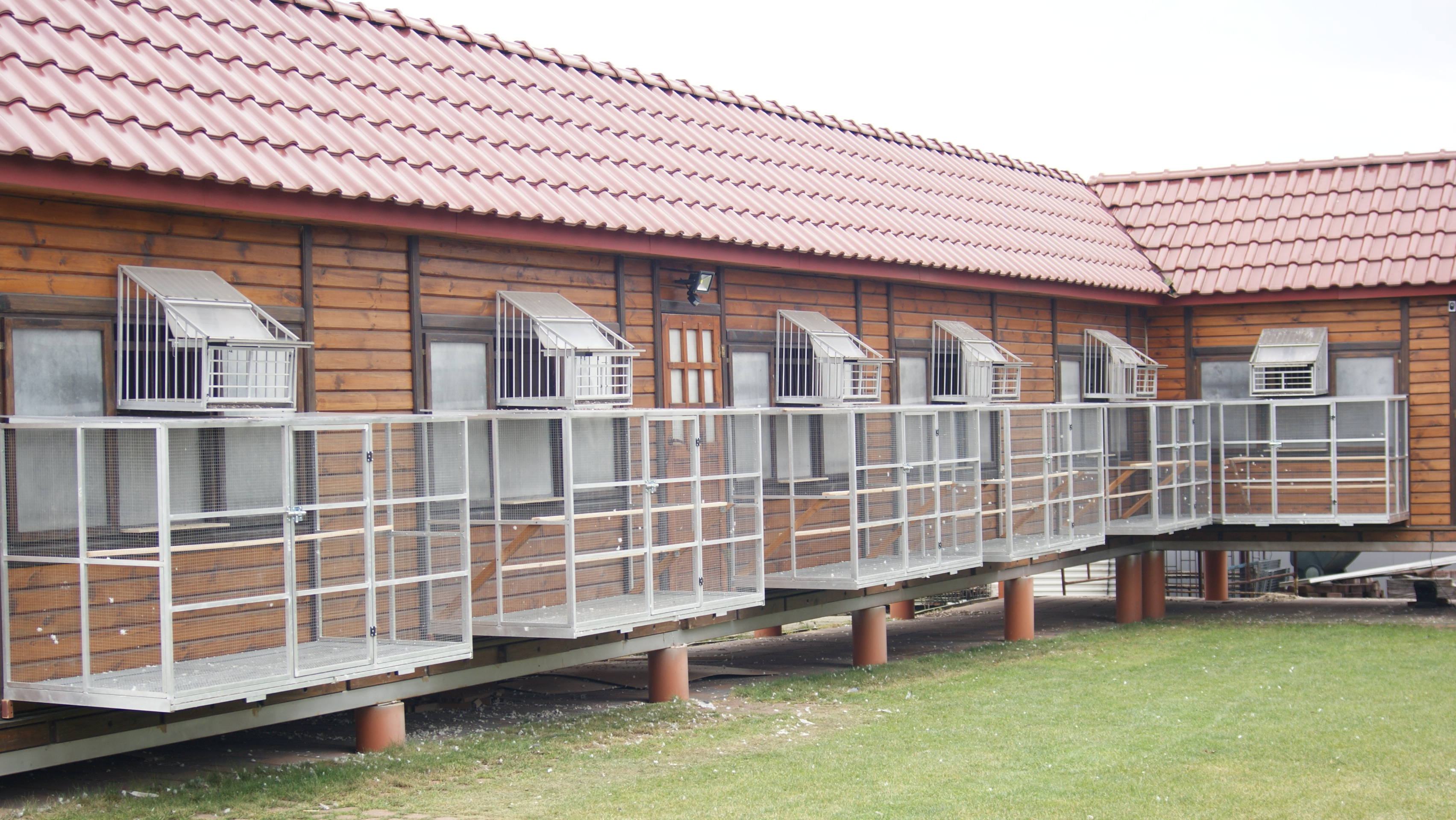 Woliera aluminiowa EuroPigeon 5